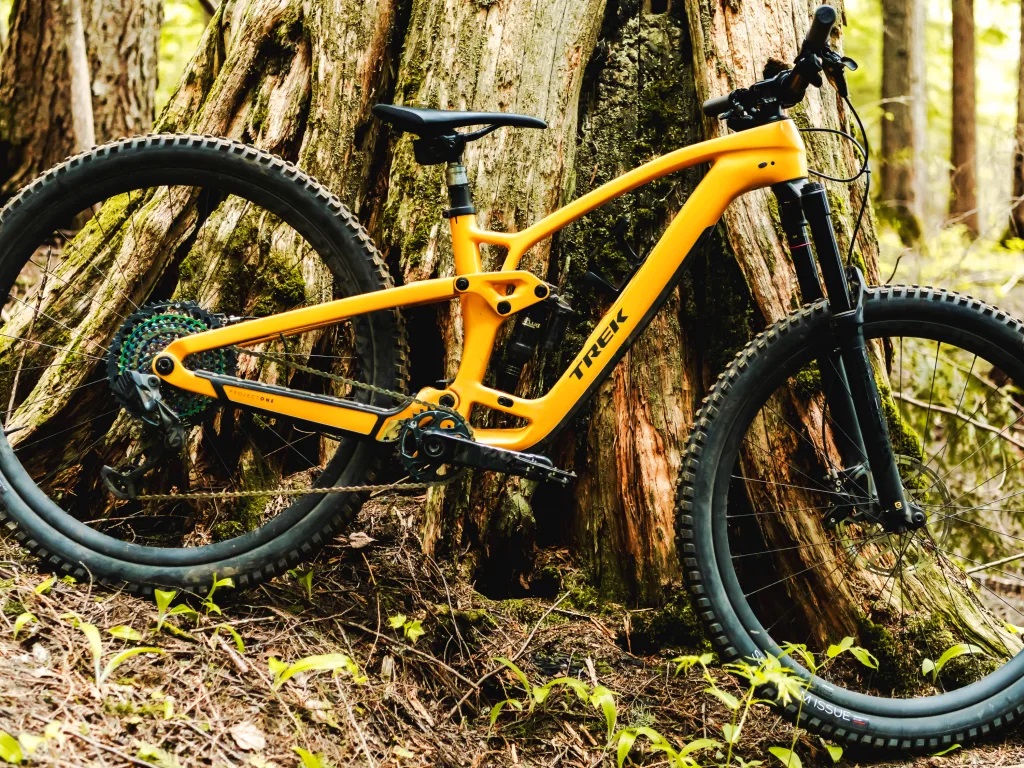 La Manutenzione della bici da mtb Mountain Bike APRILE 2025 - TUTTO QUELLO CHE DEVI FARE SAPERE CONSIGLI E SEGRETI
